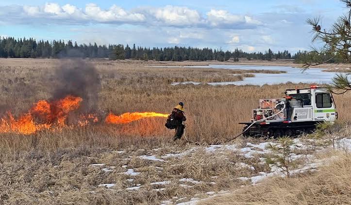 Gel Fire Systems Fire Hazard Reduction and Evasive Species Eradication