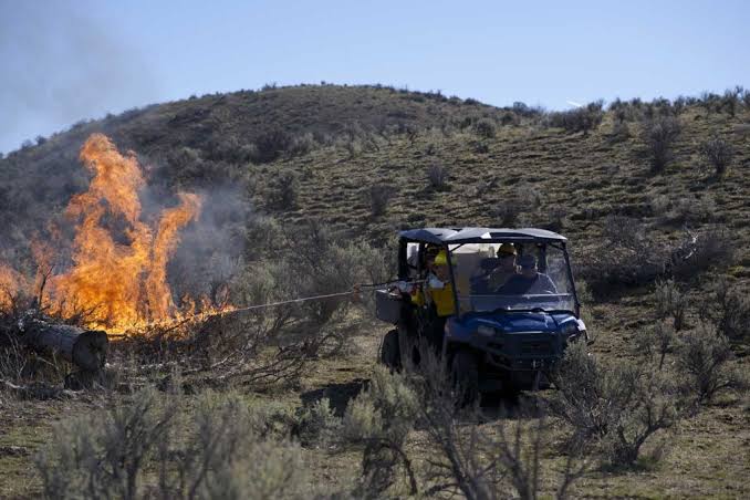 Gel Fire Systems Fire Hazard Reduction and Evasive Species Eradication